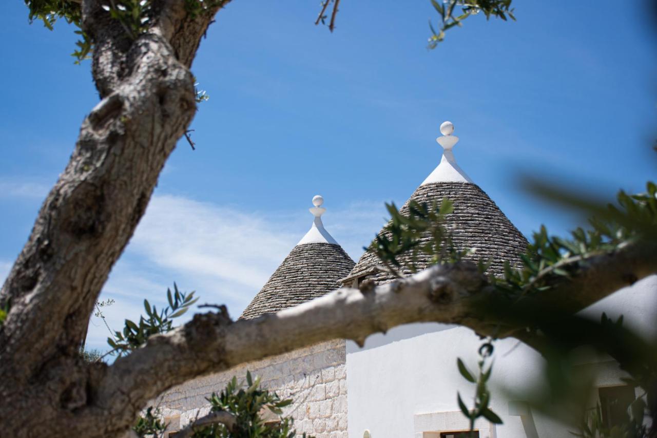 Mandolario Trulli *